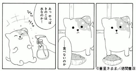 コマ